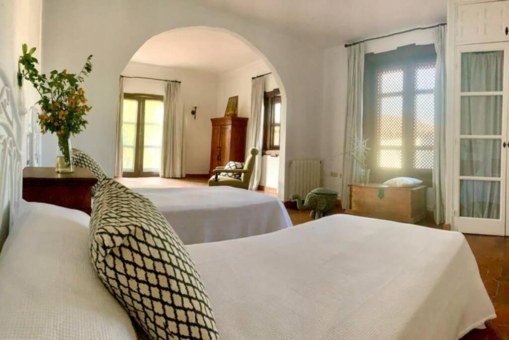 Un Autentico Oasis Rodeado De Historia Ronda Exterior foto